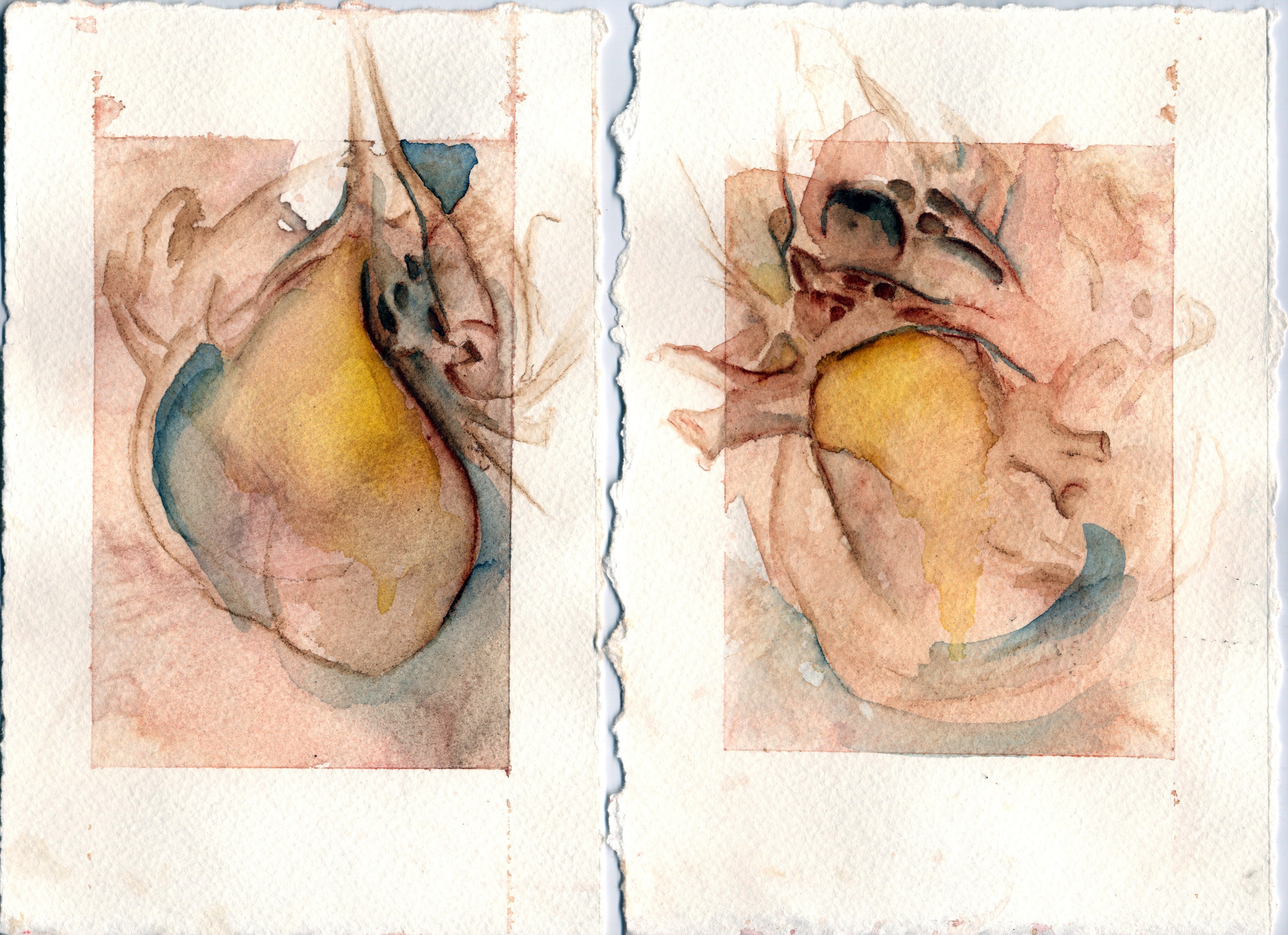 Two images of a medically correct heart